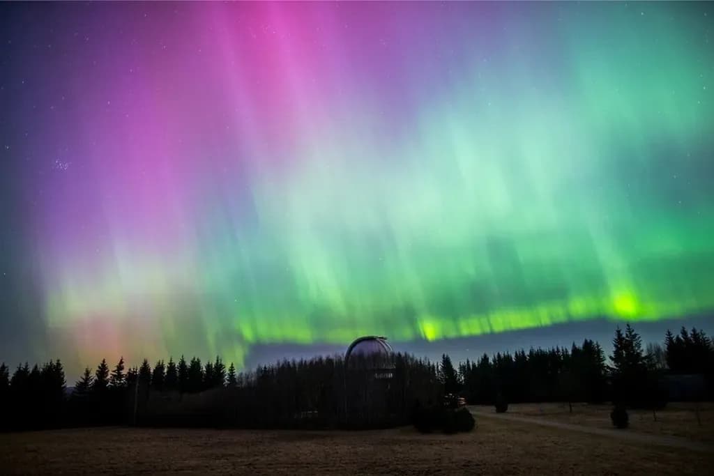 The aurora borealis — pink and green northern lights streaming over a forest and observatory dome at night.