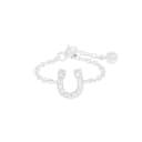 Horseshoe Charm
