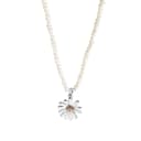 Daisy Pearl