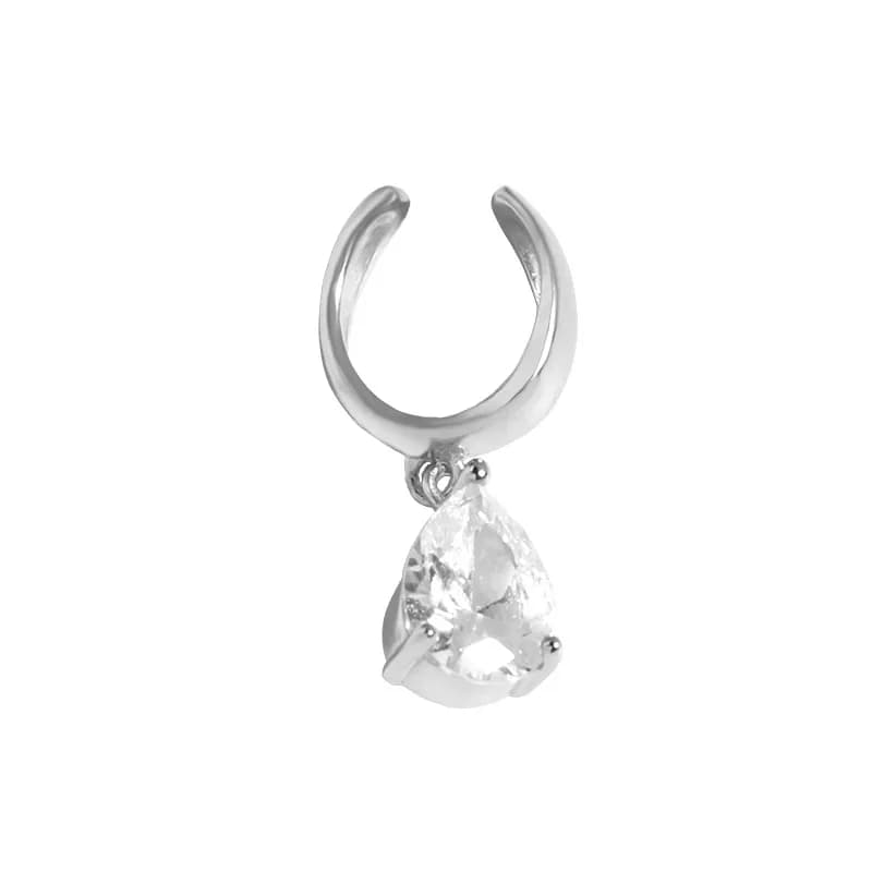 Teardrop Crystal Pendant Earrings in Platinum — Sterling silver
