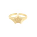 18k Gold