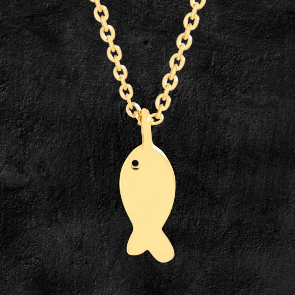 Polished fish-shaped pendant hanging from a chain against a black background.