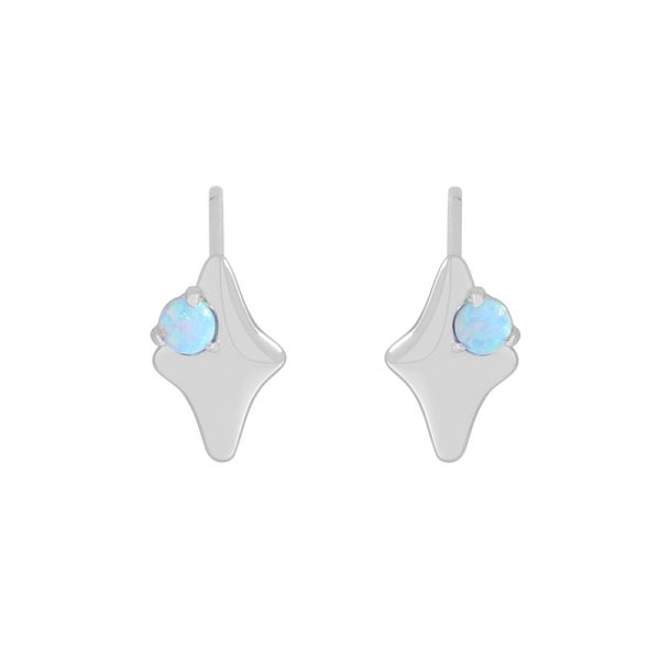 Alunithra Earrings - Image 6
