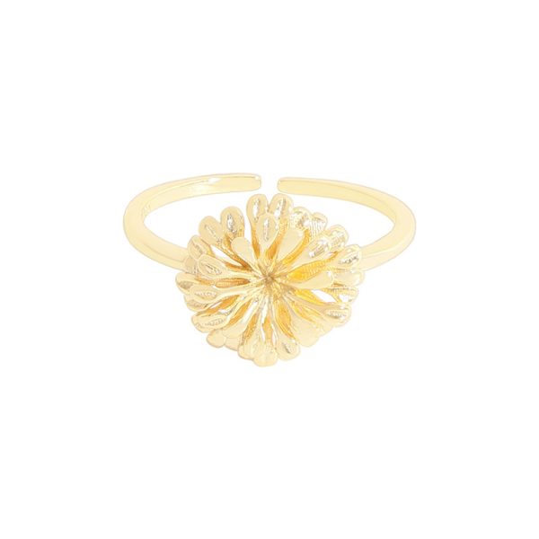 Nelythra Ring - Image 6