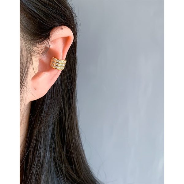 Pinara Earrings - Image 4
