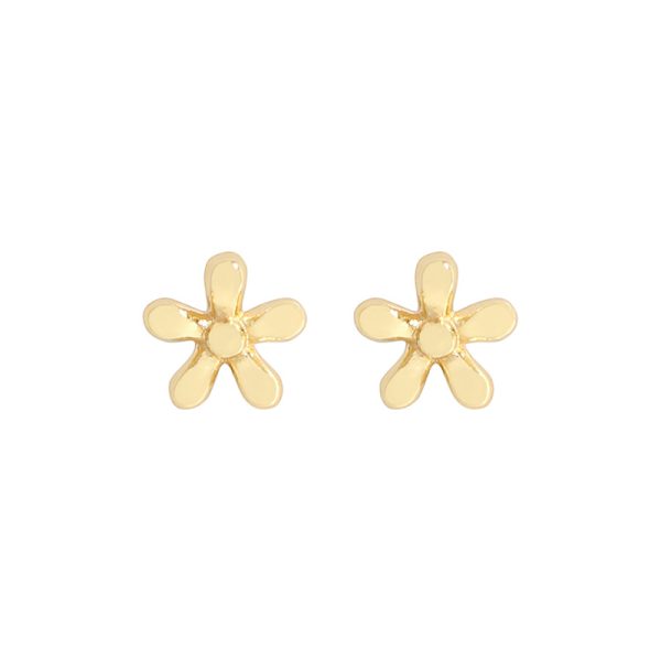 Danarionne Earrings - Image 6